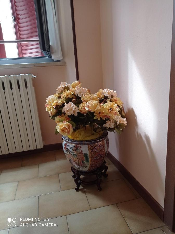 La Casa Di Terry Villa Bergamo Bagian luar foto